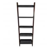 Leaning ladder 5 tier bookcase