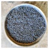 Large Stainless Steel Bowl of 1 1/2 Inch Nails