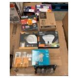 Assorted Light Bulbs and Lighting Fixtures, 10pcs