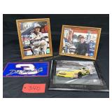 Dale Earnhardt Jr License Plate and Pictures