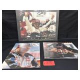 Dale Earnhardt Wall Hangings
