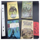 Lot of 4 Paperbacks, Wuthering Heights, The