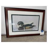 Framed Wood Duck Print