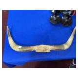 BULL HORNS 30"