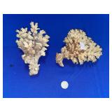 (2) PIECES OF RAW CORAL