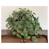 DECORATIVE PLANT W/ WICKER BASKET