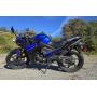 2022 QIPAI CHINESE MOTORCYCLE 338 MILES