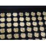 Coins, Military Medals, Ephemera, Sports