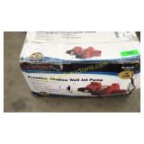 Red Lion shallow well jet pump