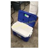 Igloo cooler- 47 liter