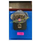 Cubs World Series Champions hat