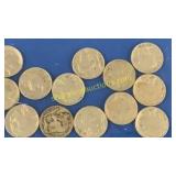 13 Buffalo nickels