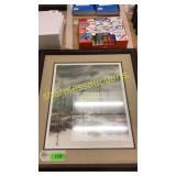 Ducks print - signed/numbered