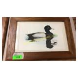 duck print - signed/numbered
