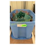 Christmas tree stand, wreath