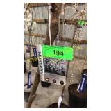 Weeping Snow Fountain Cherry 10 gal pot