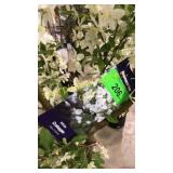 Spring Snow Crabapple 7 gallon pot