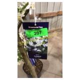 Spring Snow Crabapple 7 gallon pot