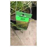 Karl Foerster Reed Grass 3 gallon pot
