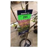 Kwanzan Flowering Cherry 5 gallon pot