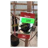 Crimson King Maple 10 gallon pot