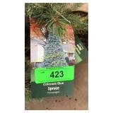 Colorado Blue Spruce 1 gal pot (QTY X 10)