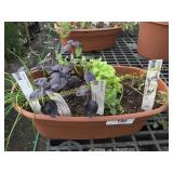 Assorted Herb Planters (window planters)