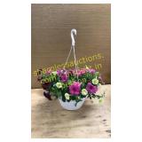 Large hanging multicolor petunia basket