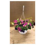 Large hanging multicolor petunia basket