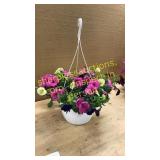 Large hanging multicolor petunia basket