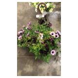 12 inch mixed basket