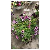 12 inch mixed basket