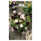 12 inch mixed basket