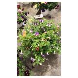 12 inch mixed basket