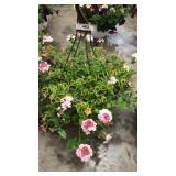 12 inch mixed basket