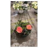 12 inch mixed basket