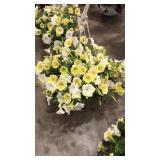 12 inch mixed basket