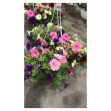 12 inch mixed basket