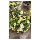 12 inch mixed basket