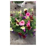 12 inch mixed basket
