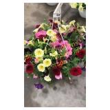 12 inch mixed basket