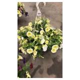 12 inch mixed basket