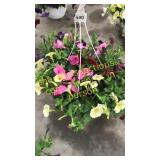 12 inch mixed basket