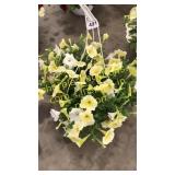 12 inch mixed basket