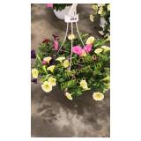 12 inch mixed basket