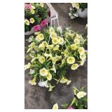 12 inch mixed basket