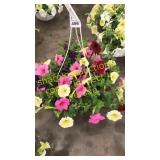 12 inch mixed basket