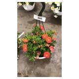 10 inch petunia basket