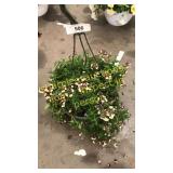 10 inch mixed basket