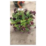 10 inch petunia basket